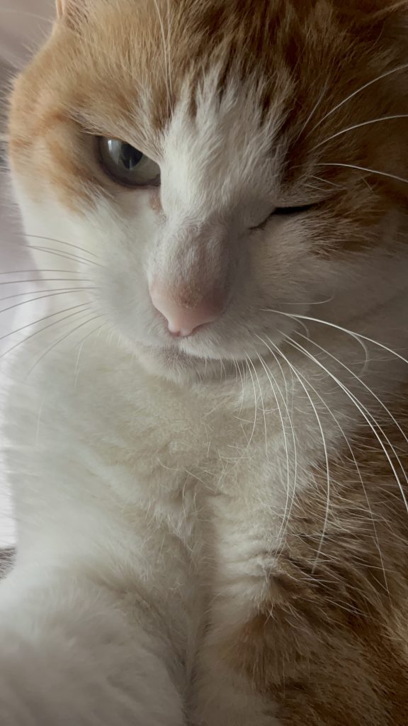 あるとのウィンク